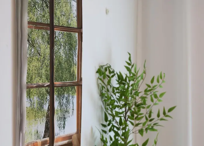Hongdae T House Villa